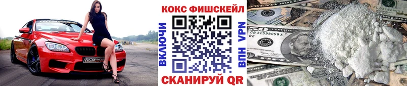 COCAIN Fish Scale  Купить закладки  Канаш 