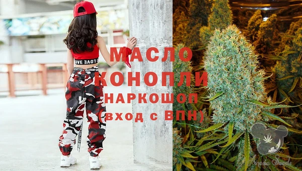 тгк Краснослободск
