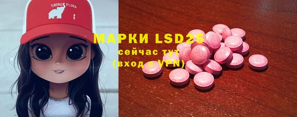 тгк Краснослободск