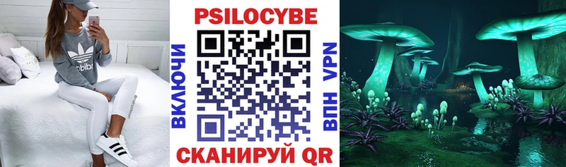 Купить закладки  Канаш  Галлюциногенные грибы Magic Shrooms 