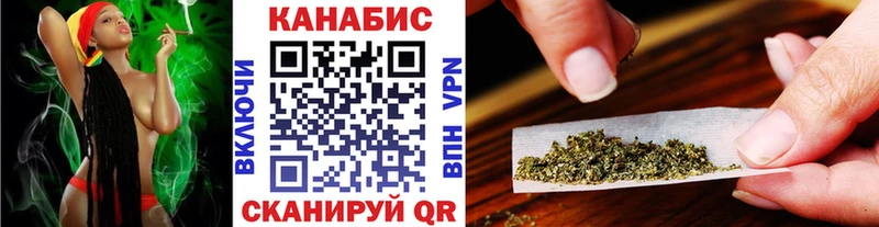 Канабис OG Kush  Купить  Канаш 